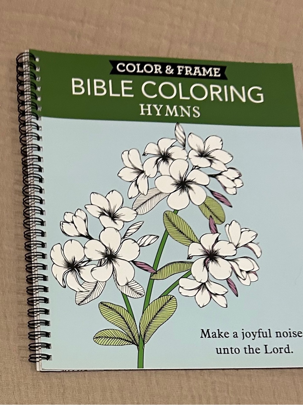 Color & Frame Bible Coloring Hymns - Light Blue & Green Spiral Coloring Book